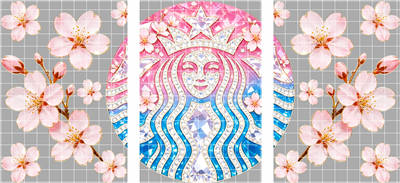 16oz Latest Bestseller-C 11612